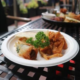 Geofresha cp Plate 9 inch 3 cp